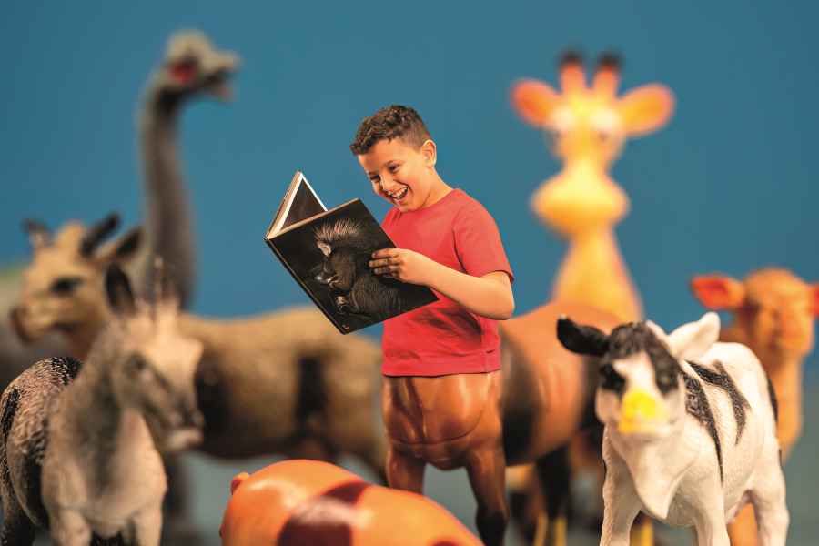 Jeugdboekenmaand Dieren (foto: Gert Swillens)
